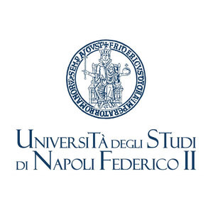 logo Università degli Studi di Napoli Federico II